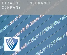 Etzwihl  insurance company