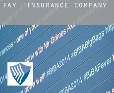 Fay  insurance company