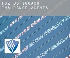 Foz do Iguaçu  insurance agents
