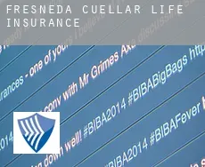 Fresneda de Cuéllar  life insurance