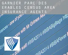 Garnier-Parc-des-Érables (census area)  insurance agents