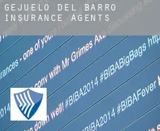 Gejuelo del Barro  insurance agents