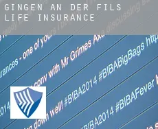 Gingen an der Fils  life insurance