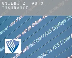 Gniebitz  auto insurance
