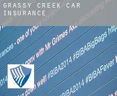 Grassy Creek  car insurance
