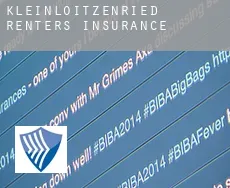 Kleinloitzenried  renters insurance