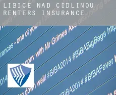 Libice nad Cidlinou  renters insurance
