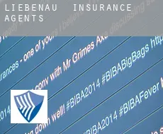 Liebenau  insurance agents