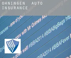 Öhningen  auto insurance