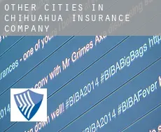 Other cities in Chihuahua  insurance company