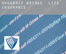 Owgarrif Bridge  life insurance