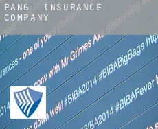 Pang  insurance company
