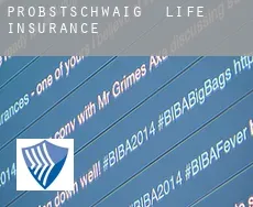 Probstschwaig  life insurance