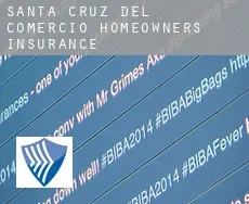 Santa Cruz del Comercio  homeowners insurance