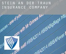 Stein an der Traun  insurance company