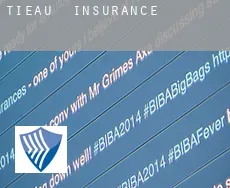 Tießau  insurance