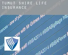 Tumut Shire  life insurance