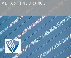 Vetas  insurance