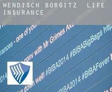 Wendisch Börgitz  life insurance