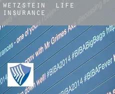 Wetzstein  life insurance