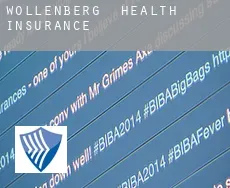 Wollenberg  health insurance