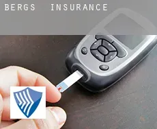 Bergs  insurance