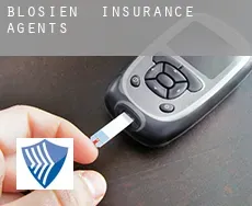 Blösien  insurance agents