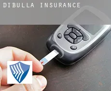 Dibulla  insurance