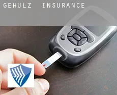 Gehülz  insurance