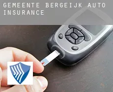Gemeente Bergeijk  auto insurance