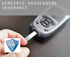 Gemeente Woudenberg  insurance