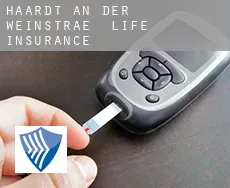 Haardt an der Weinstraße  life insurance