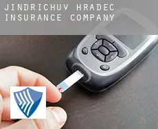 Jindřichův Hradec  insurance company