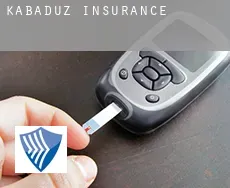 Kabadüz  insurance