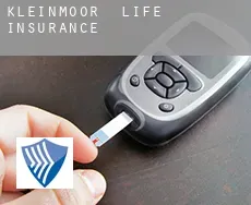 Kleinmoor  life insurance