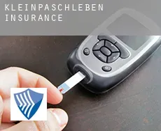 Kleinpaschleben  insurance
