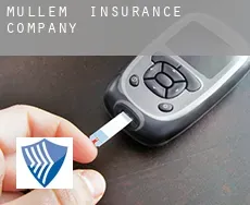 Müllem  insurance company