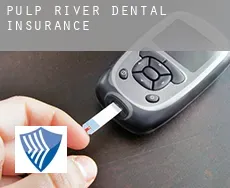 Pulp River  dental insurance