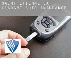 Saint-Étienne-la-Cigogne  auto insurance