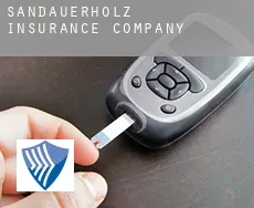 Sandauerholz  insurance company