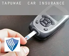 Tapuwae  car insurance