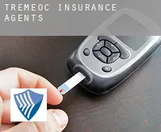 Tréméoc insurance agents