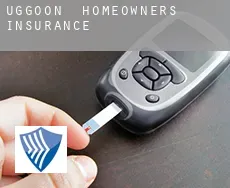Uggoon  homeowners insurance
