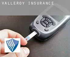 Valleroy insurance