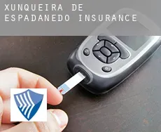 Xunqueira de Espadanedo  insurance