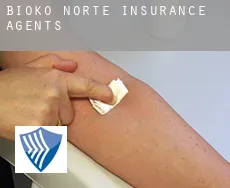 Bioko Norte  insurance agents