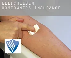Ellichleben  homeowners insurance