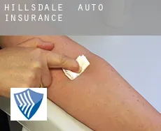 Hillsdale  auto insurance