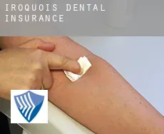 Iroquois  dental insurance