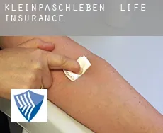 Kleinpaschleben  life insurance